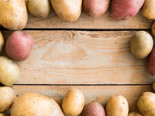 Deux jours de fête autour et de la patate des producteurs locaux à...
