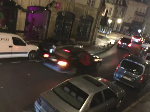 Des Albanais défilent dans les rues de Dijon 