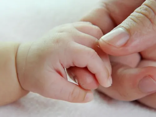 Davantage de décès que de naissances en 2025 : la population de...