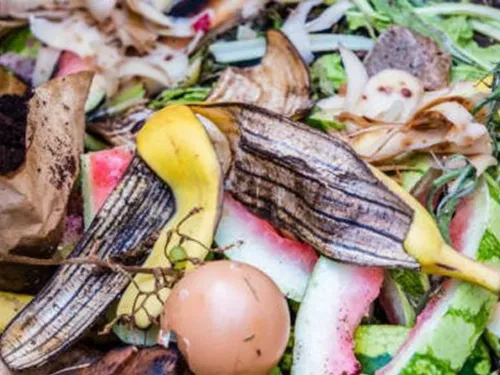 Quelles solutions pour le tri des biodéchets dans la région ? 