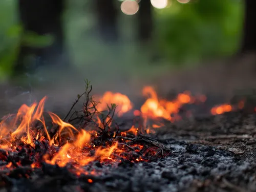 Un important feu de forêt mobilise plus de 100 pompiers entre...