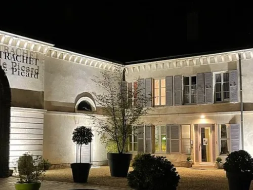 Vins, culture et solidarité : les Festivités des Vins Cœur...