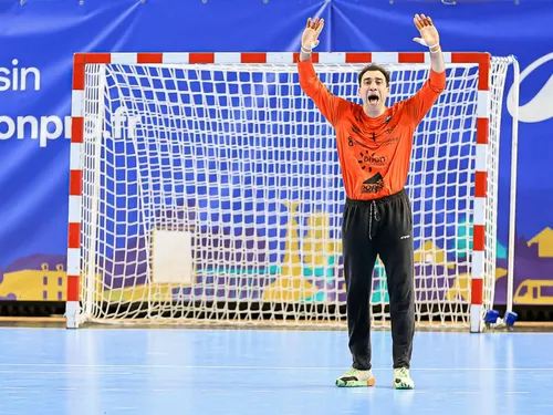 Handball Proligue: Dijon en quête de rachat à Massy 