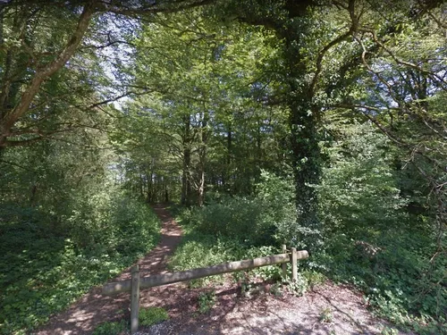 Risque de feux de forêt très sévère en Côte-d’Or selon le SDIS 21