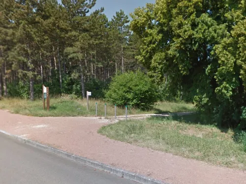 Dijon : la Forêt des Enfants fête ses 10 ans ce dimanche au chemin...