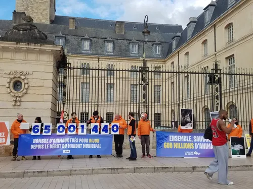 Pancartes, banderoles et interpellation de la classe politique :...