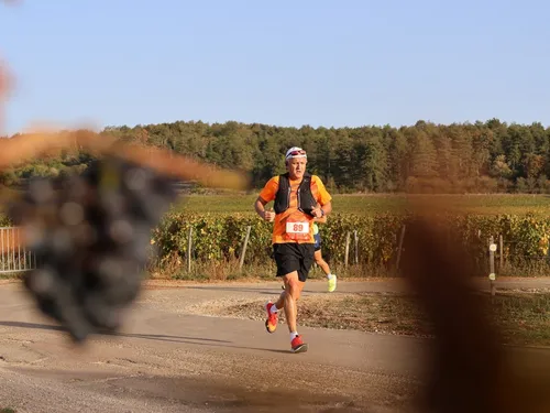 Rendez-vous le 6 octobre pour le marathon des grands crus 