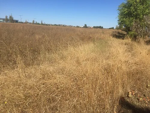 Sécheresse en 2023 : l’état de catastrophe naturelle reconnu à Dijon