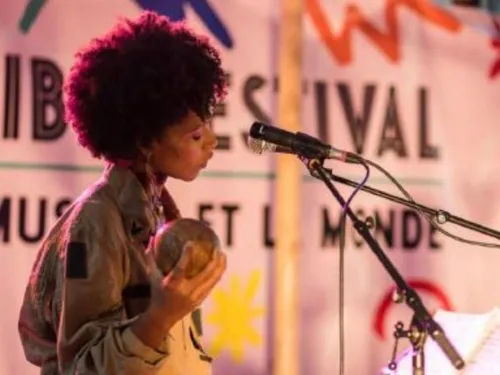 Tribu Festival : 4 jours de fête et de sons du monde à Dijon
