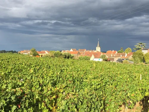 Gevrey‑Chambertin et Nuits‑Saint‑Georges ne devraient pas s'ennuyer...