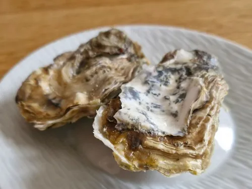 Collecte de coquilles d’huîtres, d’escargots et de crustacés à...