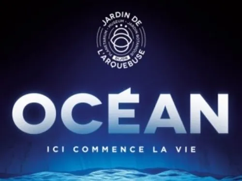 Derniers jours pour découvrir l’exposition « Océan, ici commence la...