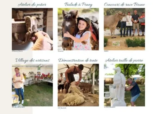 Châtillon-sur-Seine : deux jours de fête pour célébrer les talents...