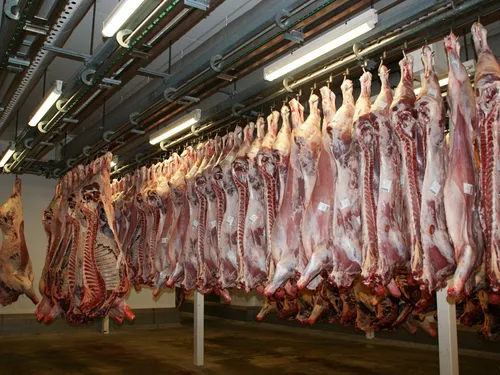 L’abattoir de Venarey-Les Laumes mis en demeure par la préfecture