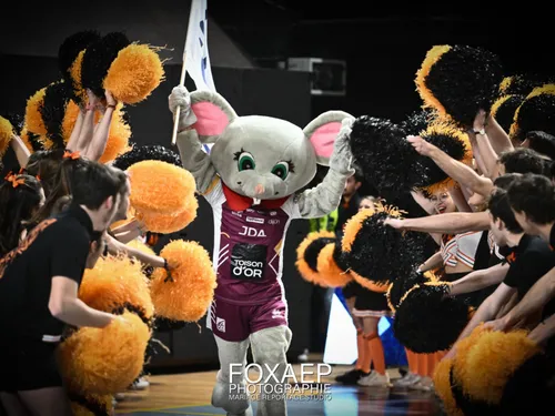 Handball féminin: La JDA Dijon veut faire trembler Metz au Palais...