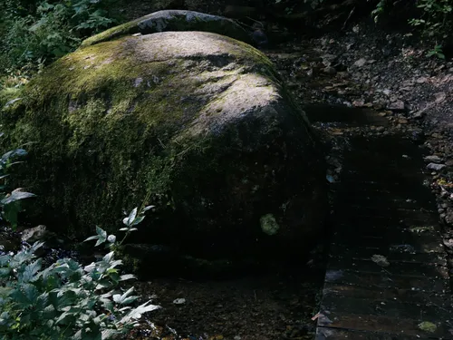 Venez découvrir les poches d'eau du sous-sol dijonnais 