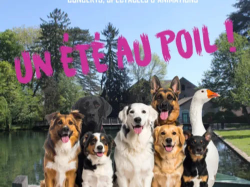 Festival Scène d’Été 2025 à Beaune