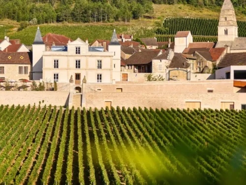 Vignobles en Scène : vivez la magie de l’automne au cœur du...