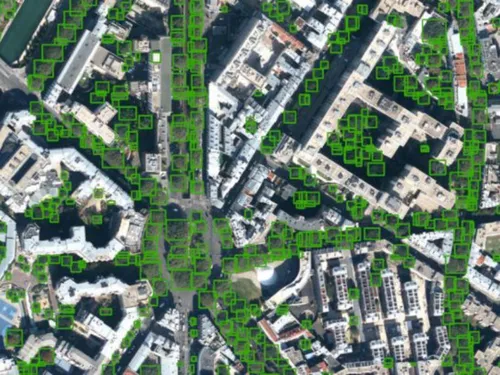 Le nombre d'arbres en Ile-de-France est vertigineux 