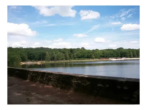 Un père et son fils découverts inanimés dans les étangs de Hollande...