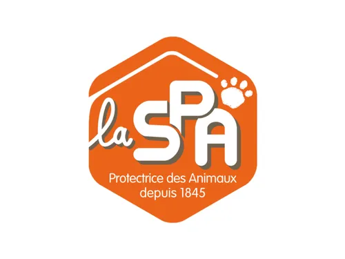 Des chiots à peine nés, déjà abandonnés à Moreuil