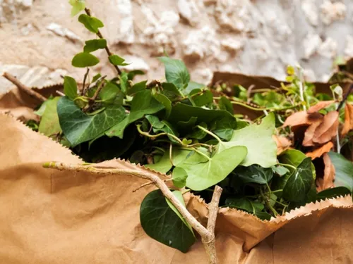 Une pause pour la collecte des déchets verts à Flins-sur-Seine