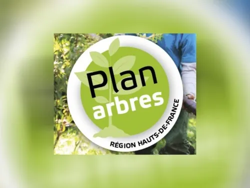 Le Plan arbres pousse doucement dans les Hauts-de-France