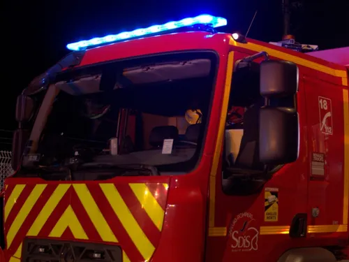 Un incendie maîtrisé à temps en forêt d'Ermenonville