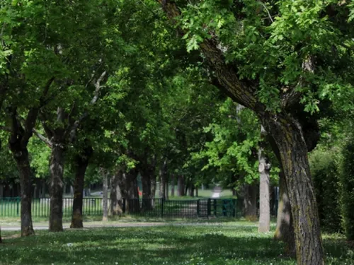 Un parc de Dreux saccagés pendant la nuit