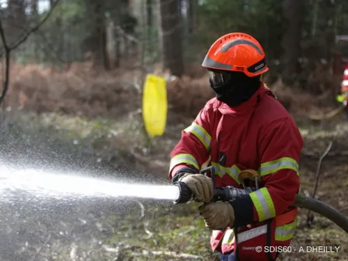 Les Yvelines encore épargnées par les feux de forêt