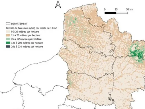 L'état des haies dans les Hauts-de-France connu grâce à un nouvel...