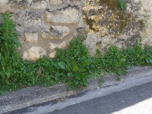 Verberie demande l'aide de ses habitants pour être plus belle 