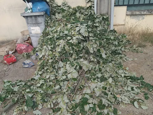 Vernouillet appelle ses habitants à respecter les règles pour les...