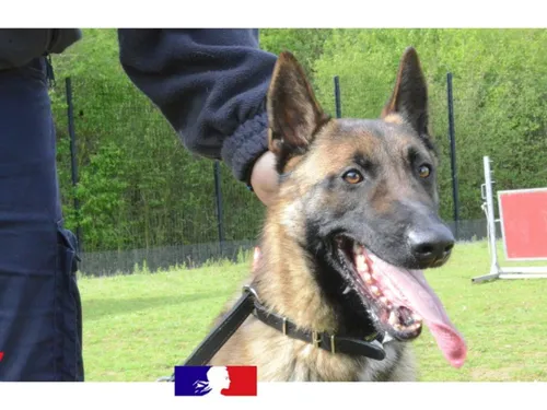 Une jeune recrue chez les policiers de Seine-et-Marne 