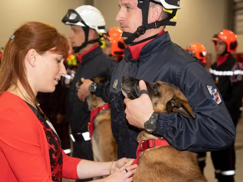 Les pompiers de Seine-et-Marne sont en deuil 