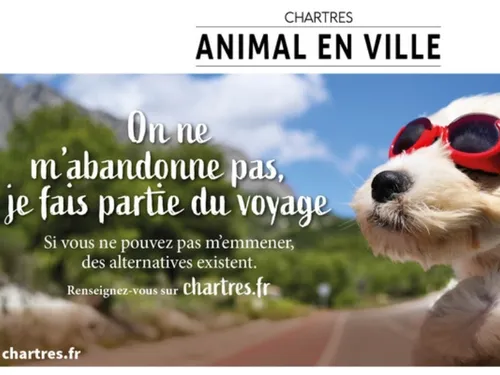 La ville de Chartres lance une nouvelle campagne anti-abandon des...
