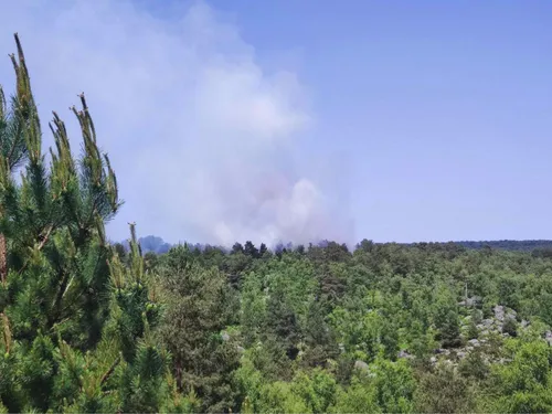 La forêt de Fontainebleau a été touchée par des incendies le...