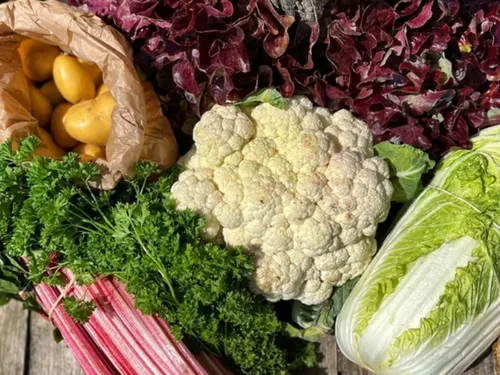 Le bio reprend des couleurs en Île-de-France