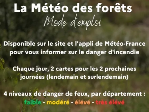 Des incendies dans les forêts de la Seine-et-Marne sont-ils...