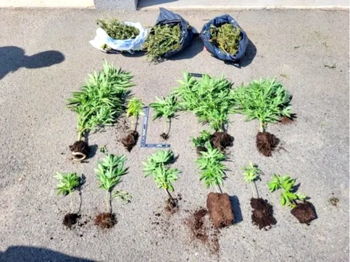 Oise : 11 interpellations dans le démantèlement d'un réseau de...