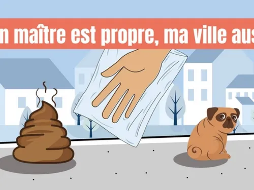 Abandonner une crotte peut coûter cher à Carrières-sur-Seine