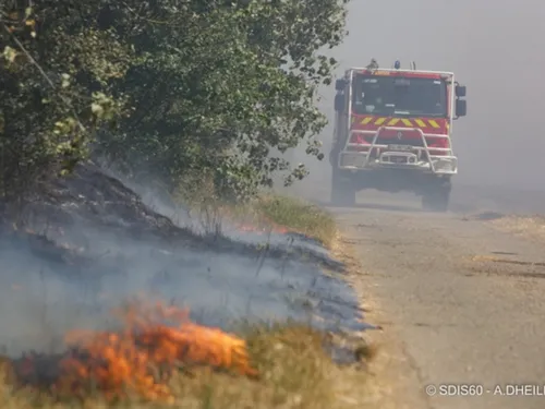 La cigarette, ennemie des forêts de l'Oise (et d'ailleurs)