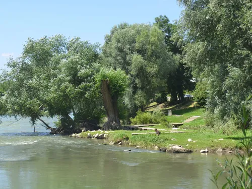 Un adolescent a perdu la vie à cause d'une noyade à Meaux