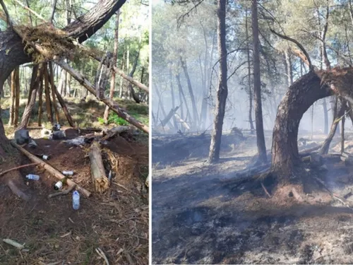 Un incendie a fait des ravages lundi en forêt de Fontainebleau