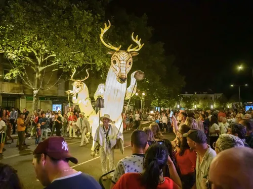 Un brillant succès pour la Fête de la lumière à Chartres