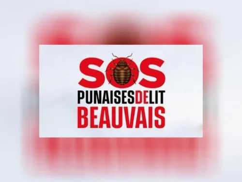 Beauvais déclare la guerre aux punaises de lit