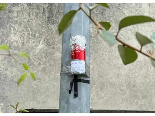 D'étranges cannettes perchées à Villenoy 