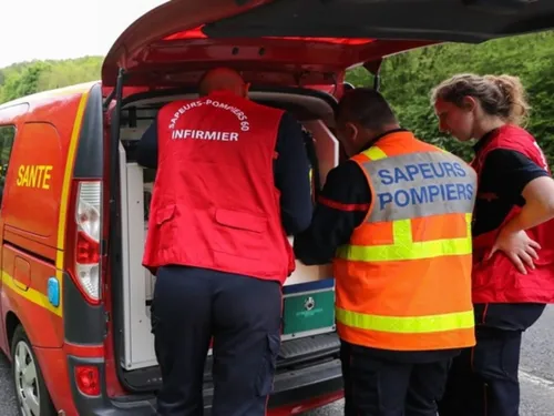 Les pompiers de l'Oise ont sauvé des victimes de frelons asiatiques 