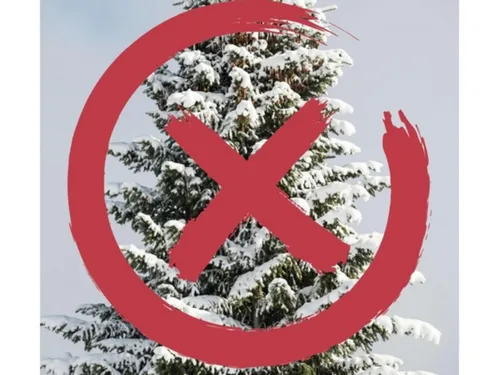 Bonnières-sur-Seine demande un geste pour un Noël plus « vert »