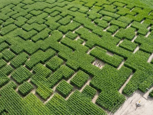 Popcorn Labyrinthe à Rouvres 